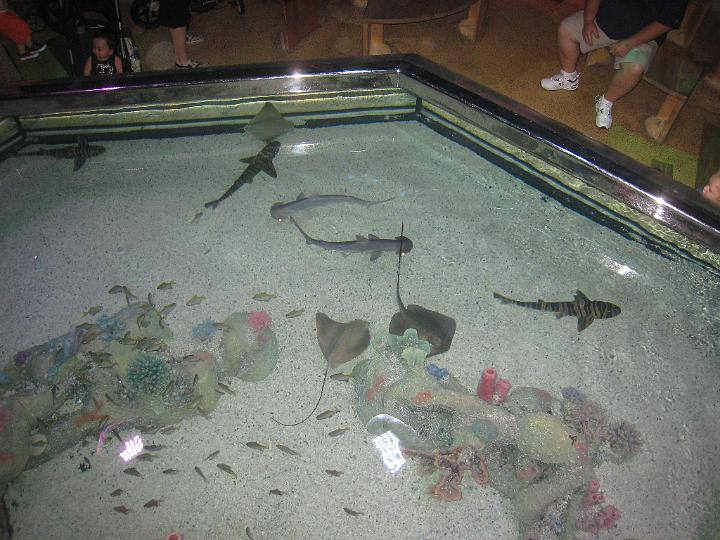 Aquarium 08.JPG